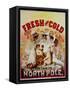 Fresh and Cold - Direct from the North Pole-null-Framed Stretched Canvas