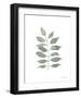 Fresh and Green IV Dark-Farida Zaman-Framed Art Print