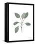 Fresh and Green VII Dark-Farida Zaman-Framed Stretched Canvas