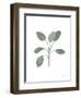 Fresh and Green VII Dark-Farida Zaman-Framed Art Print