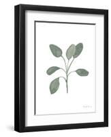 Fresh and Green VII Dark-Farida Zaman-Framed Art Print