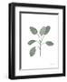 Fresh and Green VII Dark-Farida Zaman-Framed Art Print