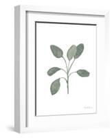 Fresh and Green VII Dark-Farida Zaman-Framed Art Print