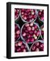 Fresh Apples, Beulah, Lake Michigan Shore, Michigan, USA-Walter Bibikow-Framed Photographic Print