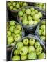 Fresh Apples, Beulah, Lake Michigan Shore, Michigan, USA-Walter Bibikow-Mounted Photographic Print