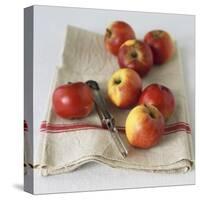 Fresh Apples on Linen Cloth with Peeler-Michael Paul-Stretched Canvas