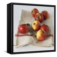 Fresh Apples on Linen Cloth with Peeler-Michael Paul-Framed Stretched Canvas