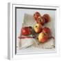 Fresh Apples on Linen Cloth with Peeler-Michael Paul-Framed Photographic Print