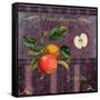 Fresh Apples-Mindy Sommers-Framed Stretched Canvas