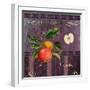 Fresh Apples-Mindy Sommers-Framed Giclee Print