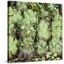 Fresh Artichokes Carmel Market-Richard T. Nowitz-Stretched Canvas