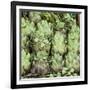 Fresh Artichokes Carmel Market-Richard T. Nowitz-Framed Photographic Print