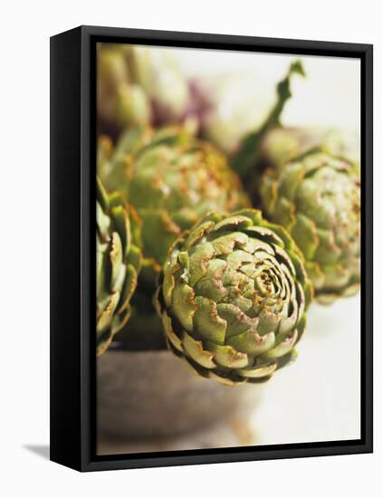 Fresh Artichokes-Debi Treloar-Framed Stretched Canvas