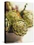 Fresh Artichokes-Debi Treloar-Stretched Canvas