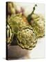 Fresh Artichokes-Debi Treloar-Stretched Canvas