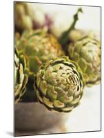 Fresh Artichokes-Debi Treloar-Mounted Photographic Print