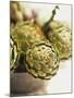 Fresh Artichokes-Debi Treloar-Mounted Photographic Print