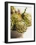 Fresh Artichokes-Debi Treloar-Framed Photographic Print