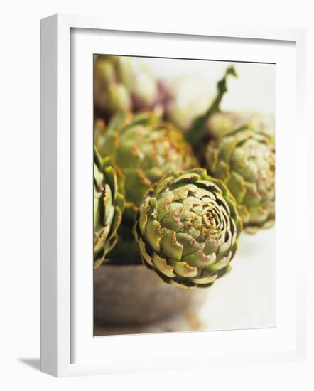 Fresh Artichokes-Debi Treloar-Framed Photographic Print