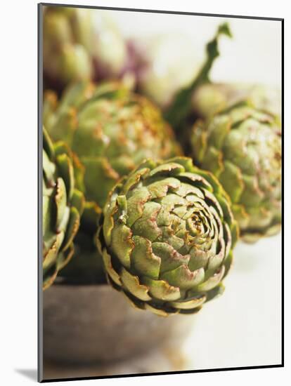 Fresh Artichokes-Debi Treloar-Mounted Photographic Print