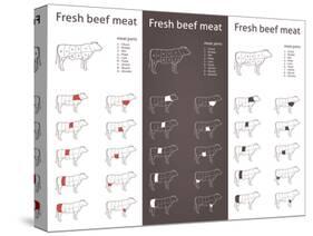 Fresh Beef Meat Parts-ONiONAstudio-Stretched Canvas