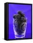 Fresh Blackberries in a Glass-Sara Jones-Framed Stretched Canvas