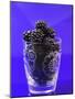 Fresh Blackberries in a Glass-Sara Jones-Mounted Photographic Print