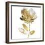 Fresh Bloom II-Vanessa Austin-Framed Art Print