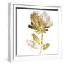 Fresh Bloom II-Vanessa Austin-Framed Art Print