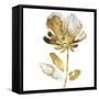 Fresh Bloom II-Vanessa Austin-Framed Stretched Canvas