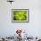 Fresh Bloom IV-Nicole Katano-Framed Photo displayed on a wall