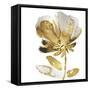 Fresh Bloom IV-Vanessa Austin-Framed Stretched Canvas