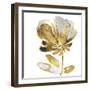 Fresh Bloom IV-Vanessa Austin-Framed Art Print