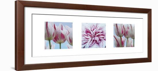 Fresh Blooms Triptych-Ella Lancaster-Framed Art Print