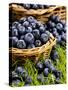 Fresh Blueberries in Wicker Baskets-Stuart MacGregor-Stretched Canvas