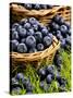 Fresh Blueberries in Wicker Baskets-Stuart MacGregor-Stretched Canvas