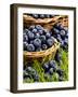 Fresh Blueberries in Wicker Baskets-Stuart MacGregor-Framed Photographic Print