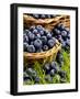 Fresh Blueberries in Wicker Baskets-Stuart MacGregor-Framed Photographic Print