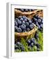 Fresh Blueberries in Wicker Baskets-Stuart MacGregor-Framed Photographic Print