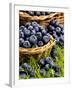 Fresh Blueberries in Wicker Baskets-Stuart MacGregor-Framed Photographic Print