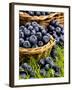 Fresh Blueberries in Wicker Baskets-Stuart MacGregor-Framed Photographic Print