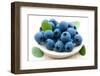 Fresh Blueberry-Olga Miltsova-Framed Photographic Print