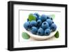 Fresh Blueberry-Olga Miltsova-Framed Photographic Print