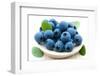 Fresh Blueberry-Olga Miltsova-Framed Photographic Print