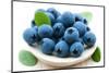 Fresh Blueberry-Olga Miltsova-Mounted Photographic Print