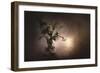 Fresh Bouquet-Jai Johnson-Framed Giclee Print