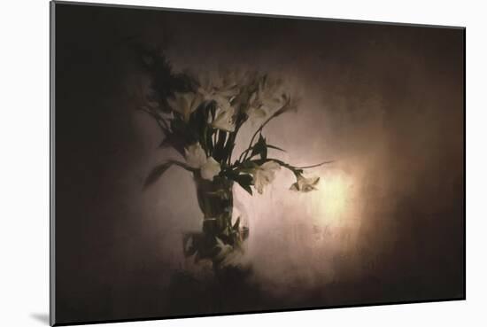 Fresh Bouquet-Jai Johnson-Mounted Giclee Print