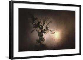 Fresh Bouquet-Jai Johnson-Framed Giclee Print