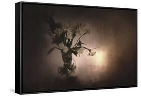Fresh Bouquet-Jai Johnson-Framed Stretched Canvas