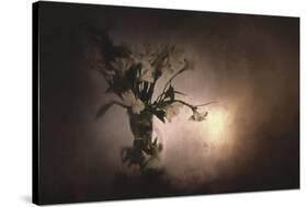 Fresh Bouquet-Jai Johnson-Stretched Canvas